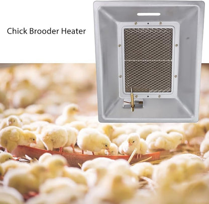 Chick Gas Brooder Heater,Chicken Coop Heater,Manual Infrared Ceramics Catalytic Heating Incubation Equipment for Poultry Coop Duck Piglet House