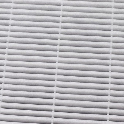 Air Purifier Filter Replacement for Midea KJ200G D41 KJ210G C42 C46 - Particulate Air Filter for Dust Odor Pollen Smoke Pet Dander Removal - Essential Air