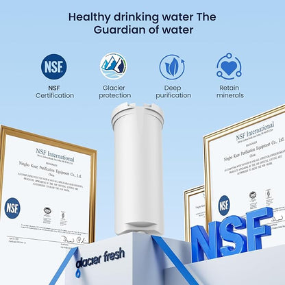 GLACIER FRESH Replacement for GE Profile Opal Ice Maker Filter,NSF 42 Certified, ge Opal ice Maker Filter, Easy Install, 4 Pack