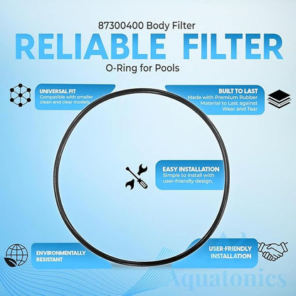 87300400Z Pool Filter O Ring Replacement Compatible with Pentair Clean and Clear, Warrior Aboveground, Predator, EasyClean - O-343 Replacement - Tank Body O Rings Rubber