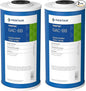 Pentair Pentek GAC-BB Big Blue Carbon Water Filter, 10-Inch, Whole House Heavy Duty Granular Activated Carbon (GAC) Replacement Cartridge, 10" x 4.5", Pack of 2