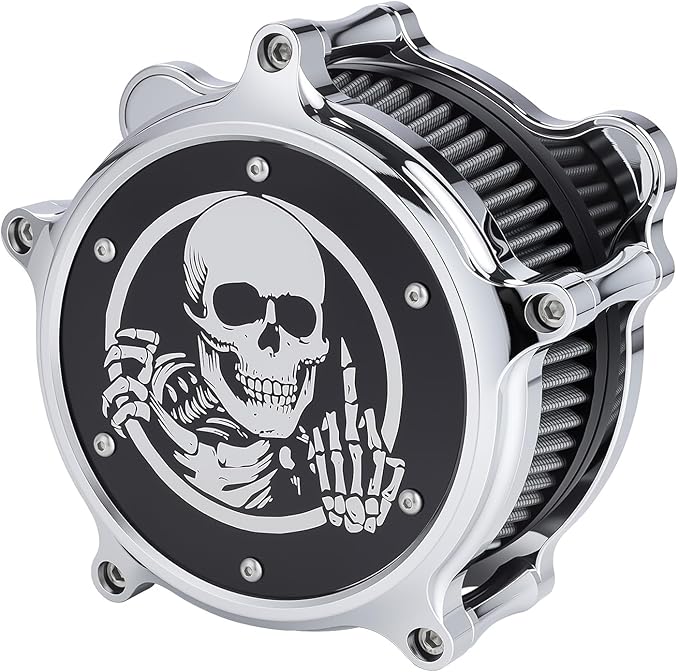 Motorcycle Air Filter Skull Style Air Cleaner with Filter Sock Dustproof Protective Cover Kit for Harley Touring 2000-07 Softail 2000-15 Dyna 2000-17, Excludes 2017 FXDLS (Chrome)