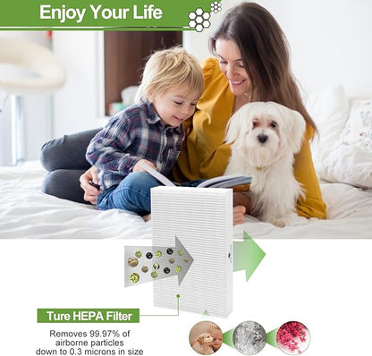 Smilyan 9 Pack Hpa300 HEPA Replacement Filter R for Honeywell HPA300 HPA200 HPA100 HPA090 Series Air Purifier, Compared to HRF-R3 HRF-R2 HRF-R1