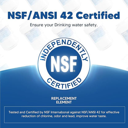 Water Filter Replacement Compatible with GE MWF, SmartWater MWFP, MWFA, GWF, HDX FMG-1, WFC1201, RWF1060, 197D6321P006, Kenmore 9991, Pack of 4, By DESENRUIS