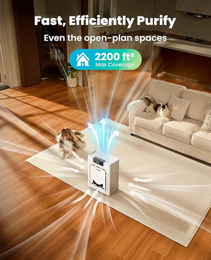 oneisall Air Purifiers for Home Pets with Double-Sided HEPA Washable Filters,Large Room Up To 2200Ft²,Air Purifier for Pet Hairs,Dander Odor Allergies Pollutant Smoke Dust,PP02