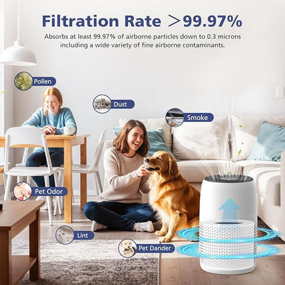 2-Pack Core Mini Filter Compatible with LEVOIT Core Mini Air Purifie-r, 3-in-1 H13 HEPA High-Efficiency Activated Carbon Pre-filter for LEVOIT Core Mini Replacement Filter