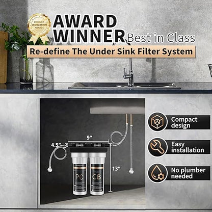 Under Sink Water Filter System, 2-Stage Deep Filtration, Reduce Heavy Metals/Chlorine/PFAS/Odor/Sediment, NSF/ANSI 42&53 Improve Taste, Life Indication Mineral pH+ Under Sink Water Filter