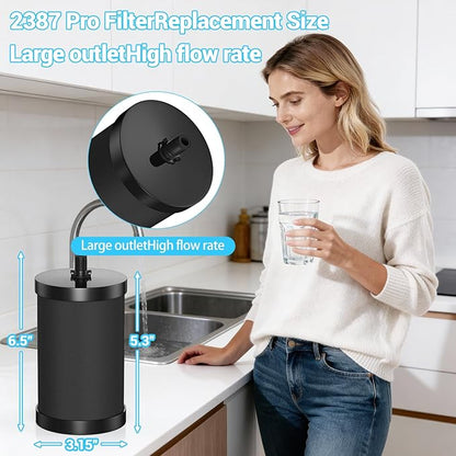 2387 Pro Filter Replacement Compatible with Alexapure 2387 Pro Water Filter Replacement, Reduces chlorine, etc，Last Up to 5000 Gallons,3-stage purification filter Upgraded version Black (2)