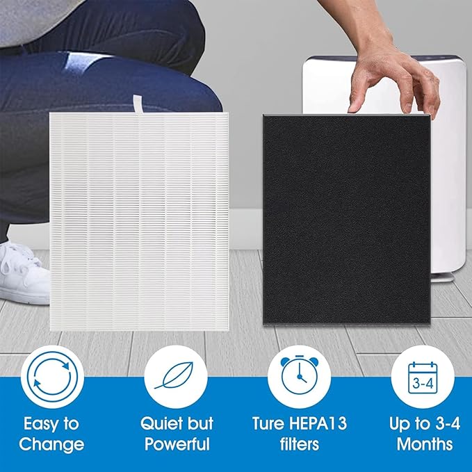 D480 True HEPA Replacement Filter D4, Compatible with Winix D480 Air Purifier, Compare to D4 Filter, Item Number 1712-0100-00, 1 H13 True HEPA Filters + 4 Activated Carbon Pre-Filters