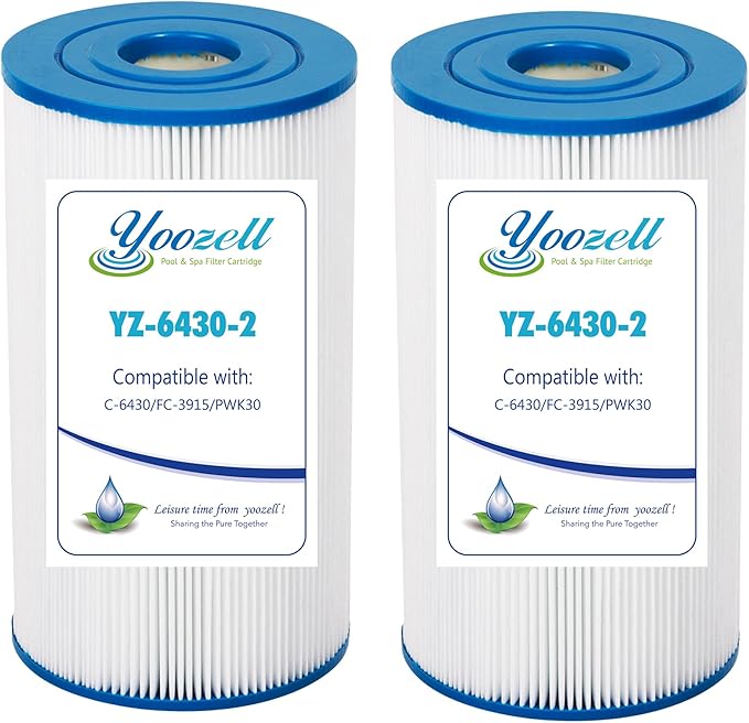6430 Pool Filter Cartridge Replacement 2 Pack