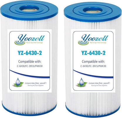 6430 Pool Filter Cartridge Replacement 2 Pack