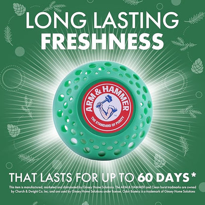 Arm & Hammer Odor Busterz Forest Pine (3 count)