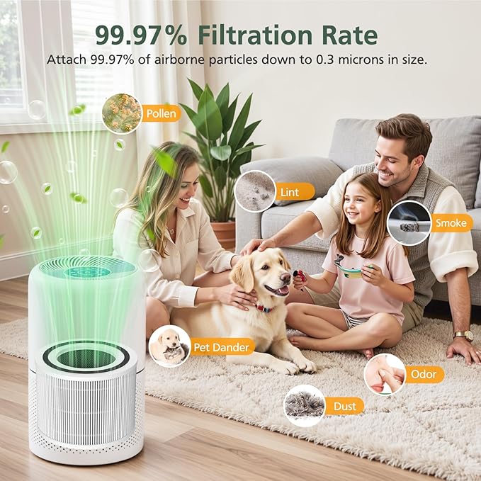 Core 300 Replacement Filter for LEVOIT Core 300 Core300-P Core 300S Core 300-P VortexAir Air Purifier, Core 300-RF, 3-in-1 HEPA Activated Carbon, 2 Pack, Core 300-P, White