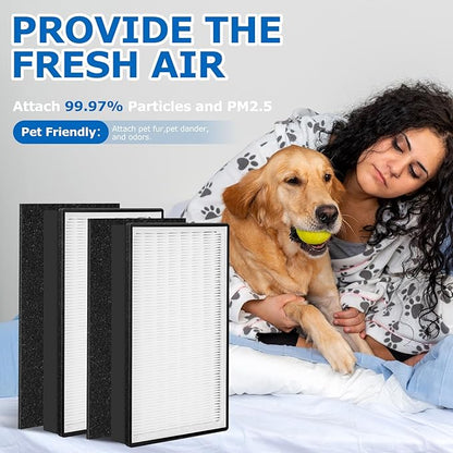 2 Pack Type A2 HEPA Replacement Filter Compatible with Filtrete Room A2 Air Purifier Models FAP-C02-A2, FAP-C03-A2, FAP-T03-A2, FAP-SC02L, Part No. 1150101, Filter A2
