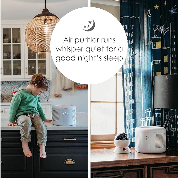 Crane HEPA Air Purifier, Air Purifiers for Home, Quiet Air Purifier HEPA Filter, Home Air Purifiers, Air Purifier For Pets, Office, Baby Nursery