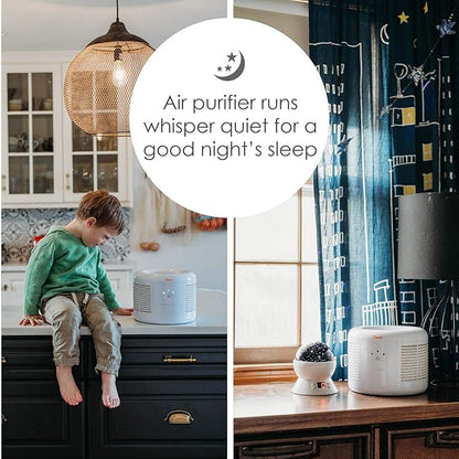 Crane HEPA Air Purifier, Air Purifiers for Home, Quiet Air Purifier HEPA Filter, Home Air Purifiers, Air Purifier For Pets, Office, Baby Nursery
