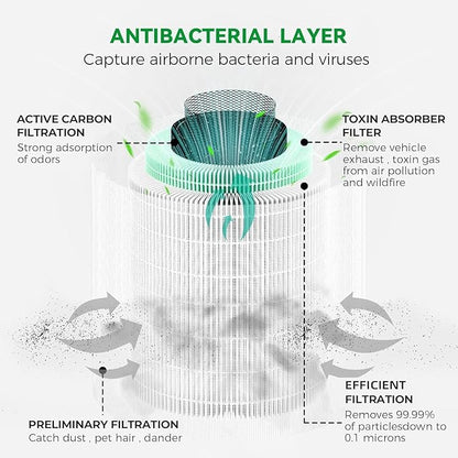 Afloia Toxin Romover Filter for KILO/KILOPRO/KILOPLUS/MIRO/MIROPRO Air Purifiers, 2 Packs