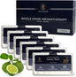 Luxury Hotel Whole Home Air Freshener System - Whole House Air Freshener for HVAC Filter - Scented Filters for Home - HVAC Duct Odor Eliminator - Filter Fresh 6 Pack