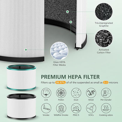 2 Pack HP01 HP02 HEPA Filter Compatible with Dyson Desk Purifier, Dyson Pure Cool Link Desk DP01 DP02, Dyson Pure Hot + Cool Link HP01 HP02, Part # 968125-03, Standard Filter and Pet Care Filter Set