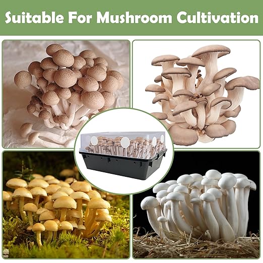 48 Pcs 2.5" Monotub Adhesive Filter Disks-2MM Thick Monotub Filter Discs-Monotub Filters for Mushroom Growing Supplies Filter Pad Replacements