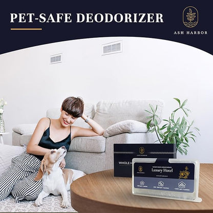 Luxury Hotel Whole Home Air Freshener System - Whole House Air Freshener for HVAC Filter - Scented Filters for Home - HVAC Duct Odor Eliminator - Filter Fresh 6 Pack