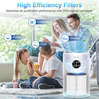 Tailulu 2 Pack D10 Replacement Filter, Air Purifier Filter for Tailulu D10 Air Purifier, 3-in-1 H13 Grade True Replacement Filte with Extra 6 Pieces Aroma Pads