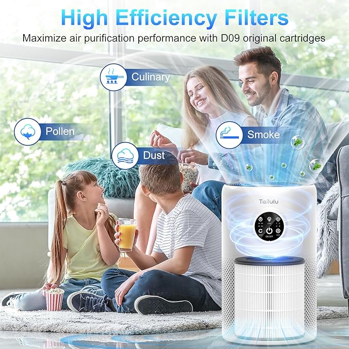 Tailulu D10 Replacement Filter, Air Purifier Filter for Tailulu D10 Air Purifier, 3-in-1 H13 Grade True Replacement Filte 1 Pack with Extra 6 Pieces Aroma Pads