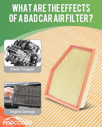 Cabin & Engine Air Filter Fit for 2018-2019 X3 (XDrive30i/SDrive30i/M40i), 2019 X4; 2020-2021 X3 (XDrive30i/SDrive30i); 2020-2022 X4 (XDrive30i) Replacement 64119382885 Accessories