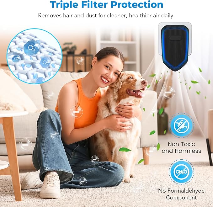 Air Ionizers Plug In Negative Ion Air Purifiers Quiet Air Freshener for Home Bedroom Office Basement - Portable Mini Air Cleaner Odor, Smoke, Dust, Pet Smell (6, Black)