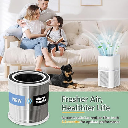 AP301 AP302 HEPA filter Replacement, ONLY for Dayette AP301 AP302 Air Purifier, NOT FOR AP401 AP402 Air Purifiers
