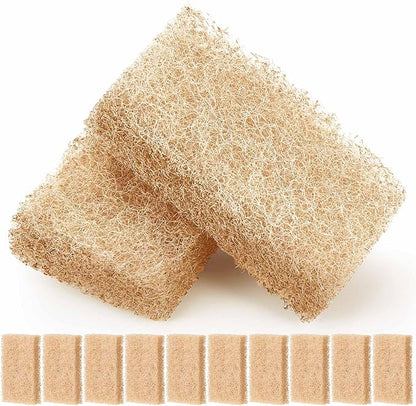 12 Pcs Ammonia Remover Inserts Compatible with Flex/spec/evo, Replacement Aquarium Filter Media for Freshwater and Saltwater Aquariums, Removing and Reducing Ammonia