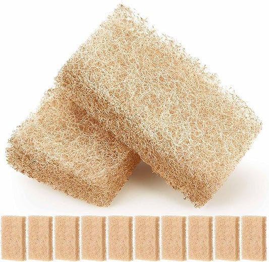 12 Pcs Ammonia Remover Inserts Compatible with Flex/spec/evo, Replacement Aquarium Filter Media for Freshwater and Saltwater Aquariums, Removing and Reducing Ammonia