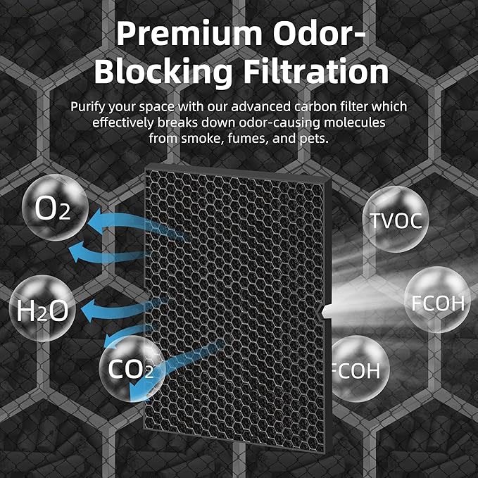 116130 HEPA Replacement Filter H for Winix 5500-2 Am80 Plasmawave Air Purifier,H13 True HEPA High-Efficiency Activated Carbon Filter,2 Combo Set