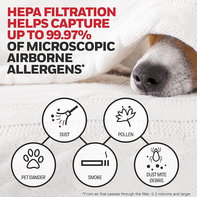Honeywell HEPA Air Purifier Filter G, 1-Pack – for HPA030/HPA080 & HPA180 Series – Airborne Allergen Air Filter Targets Wildfire/Smoke, Pollen, Pet Dander, and Dust