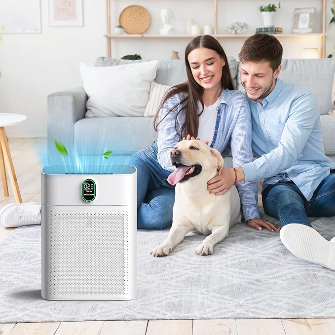 CHIVALZ 2 Pack HY4866 True HEPA Replacement Filters Compatible with MORENTO HY4866 Air Purifier, WESTHEY HY4866 Air Purifier and YIOU M1 Air Cleaner Purifier, Enhanced Version