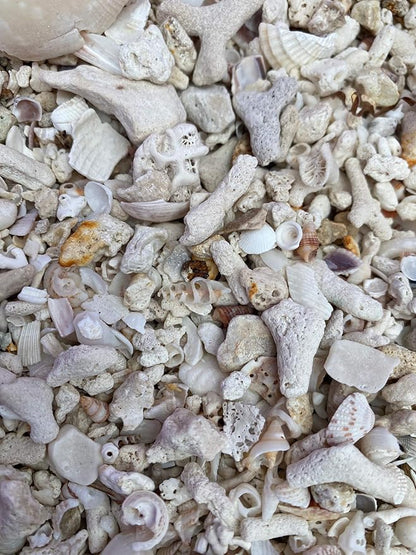 Middle Keys Marine Life LLC Florida Keys Crushed Coral Aquarium Gravel 2.5 LB (~70 in3) for Aquariums, Terrariums, Vases, Landscaping, Bonsai, School Projects, Shell ID, Bio-Filtration