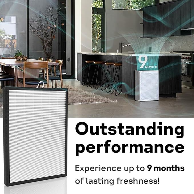 Leemone EverestAir Replacement Filter for LEVOIT EverestAir/EverestAir-P Air Purifier, True HEPA, High Efficiency Granules Activated Carbon, EverestAir-RF, 2 Pack
