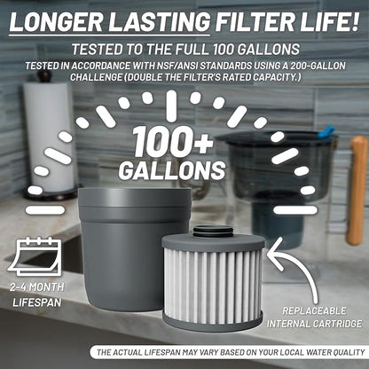 Epic Water Filters REPLACEMENT FILTER for Epic Nano XP Water Filter Pitcher or Dispenser. Nanofiltration Removes Bacteria, Virus, Cyst, Lead, Chromium 6, PFOS, PFOA, Heavy Metals, Pesticides