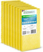 Filterbuy 16x25 Air Cleaner Filter Replacement Pads for Respicaire CG MicroClean 95, Totaline CG1000 Star Series, and More (4-Pack)