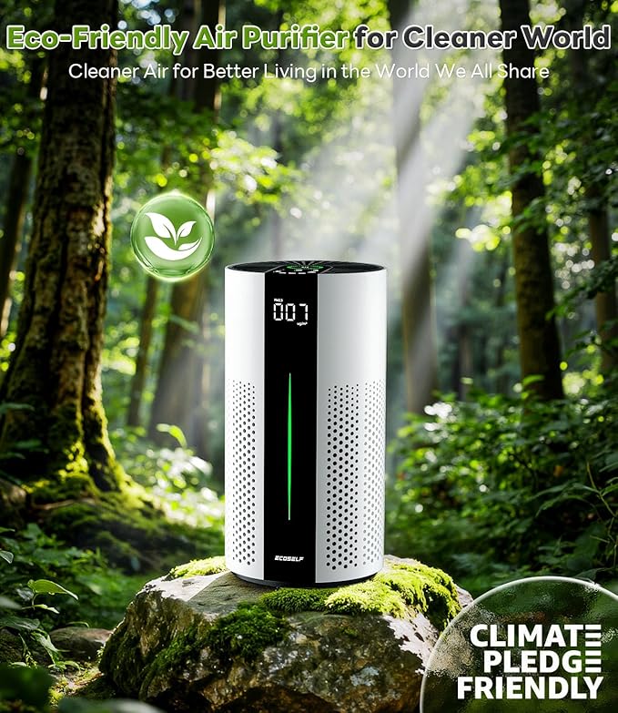 Genuine Replacement Air Purifier Bacterial Absorption Filter for HAP609 Air Purifier Filter, 3-Stage Filtration Repacement for High-Efficient Filtration, 1 Pack, Green
