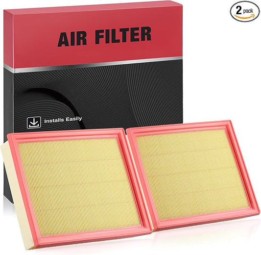 BDFHYK 2PC Engine Air Filters Compatible with Nissan 2021-2023 Pathfinder 3.5L V6, Compatible with INFINITI 2022-2023 QX60 3.5L V6, Replace# CA12931, 16546-6TA0A, PA99868, 165466TA0A