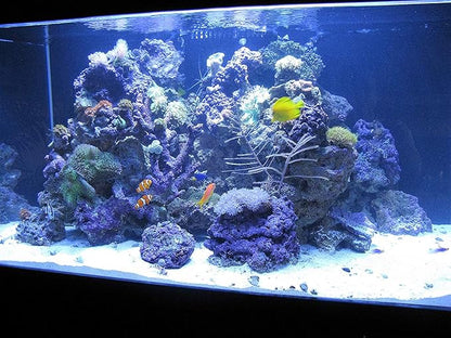 Kolar Labs Crystal Cal Activated Carbon – 1 Gallon, Activated Charcoal for Aquariums and Fish Tanks