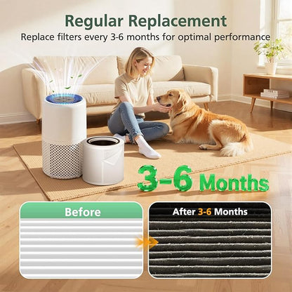 AP103 Replacement Filter Compatible with AromaRoom AP103 Air Purifier, 3-IN-1 Nylon Pre-Filter, HEPA Air Filter and Activated Carbon Filter, 2+4 Pack(White)