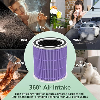 AP301 AP302 HEPA filter Replacement, ONLY for Dayette AP301 AP302 Air Purifier, HEPA and More Carbon Particles, Pets Odors filter