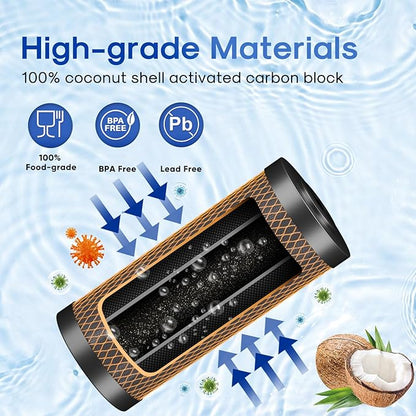 ICEPURE 5 Micron 4.5" x 10" CTO10BB-KDF Whole House Water Filter Coconut Shell Activated Carbon and KDF Heavy Metal Removal Water Filter Replacement for Home, 2PACK