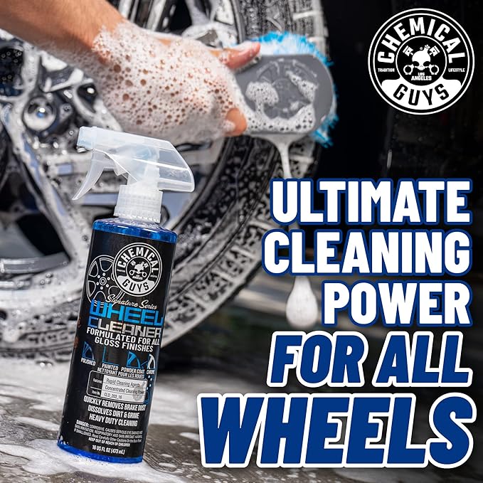 Chemical Guys HOL123 Car Cleaning Kit for Interior & Exterior, 14 Items Including (7) 16 oz Chemicals
