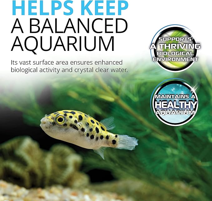 Fluval FX4/FX5/FX6 Bio-Foam, Replacement Aquarium Filter Media, 2-Pack, A239