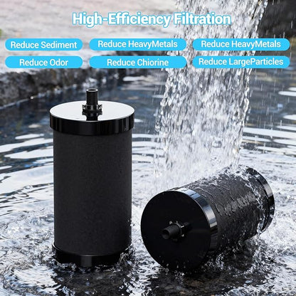 2387 Pro Filter Replacement Compatible with Alexapure 2387 Pro Water Filter Replacement, Reduces chlorine, etc，Last Up to 5000 Gallons,3-stage purification filter Upgraded version Black (2)
