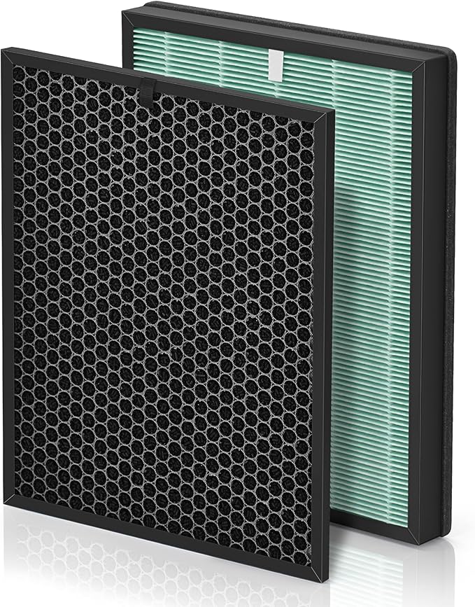 BioGS 2.0 Filters Replacement Kit Compatible with Filter Replacement SPA-550A and SPA-625A, Air Cleaner to Remove Odor for Home and Large Room, 1x H13 True HEPA and 1x Carbon