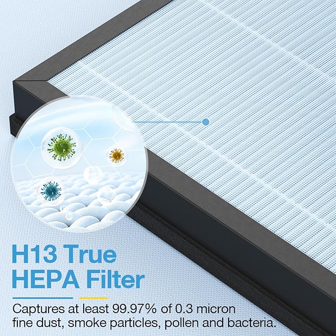 2 Pack HAP603 Replacement Filter Compatible with ECOSELF HAP603 / HAP603WF Air Purifier, Air Purifiers Replacement Filter for Home Large Room, # RFHAP603_2P_BLU, Blue
